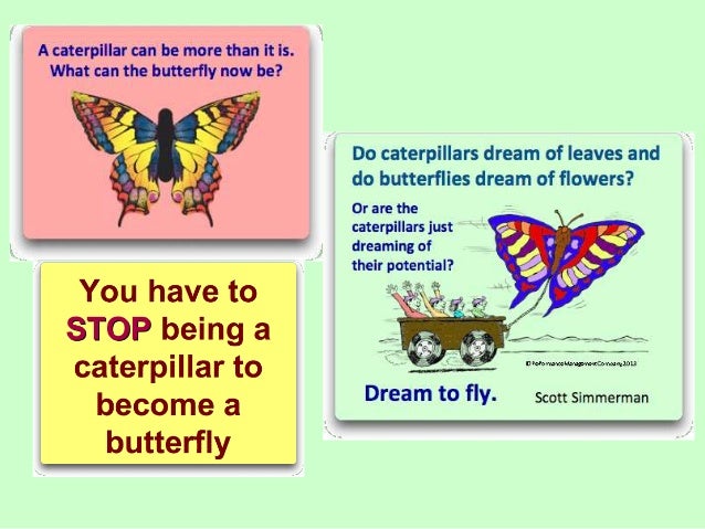 Dreams About Butterflies – Interpretation and Meaning